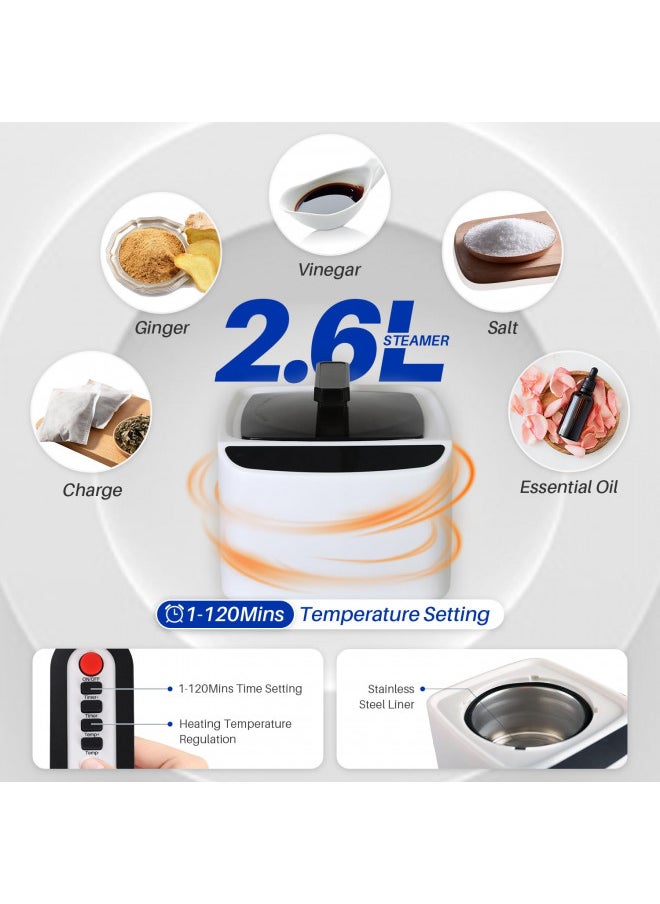 TOREAD TOREAD Full Size Sauna 600D Canvas, Portable Steam Saunas Tent Fold-able with 2.6L 1000W Steam Generator Remote Control  - Image 3