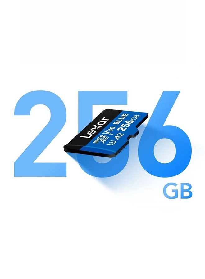بطاقة ذاكرة Lexar Blue سعة 256 جيجابايت لكاميرات السيارات عالية الدقة 4K وكاميرات DJI و الأجهزة المنزلية - Image 3