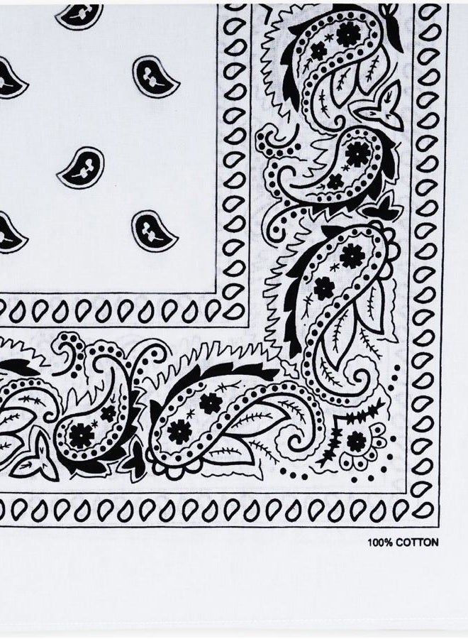 Raylarnia Bandana Multi-Purpose 100% Cotton Headbands for Women, 22 inch Paisley Cowboy Bandanas for Men - Image 1