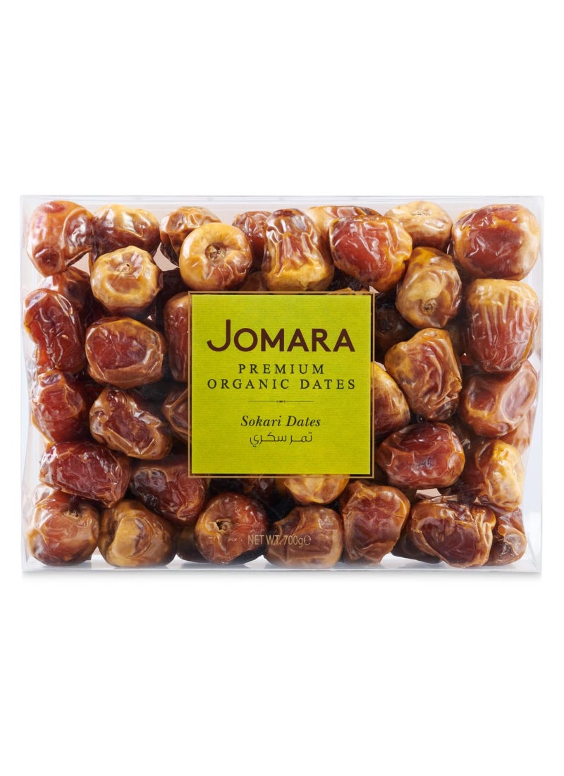 Jomara Sokari Dates - Image 1