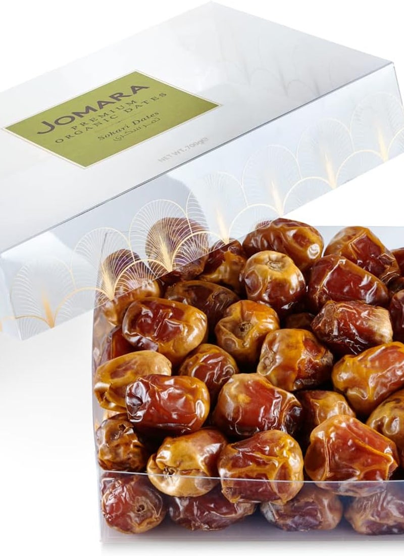 Jomara Sokari Dates - Image 3