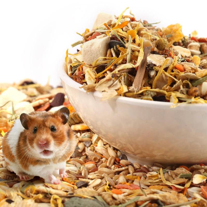 Gourmet Hamster & Gerbil Food, Dry Food for Hamsters-Supports Healthy Digestion and Healthy Teeth Unique Edible Treats for Guinea Pigs, Hamsters, Gerbils - Image 5