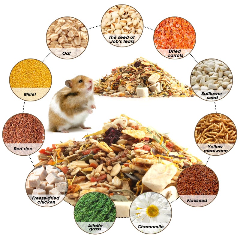 Gourmet Hamster & Gerbil Food, Dry Food for Hamsters-Supports Healthy Digestion and Healthy Teeth Unique Edible Treats for Guinea Pigs, Hamsters, Gerbils - Image 3