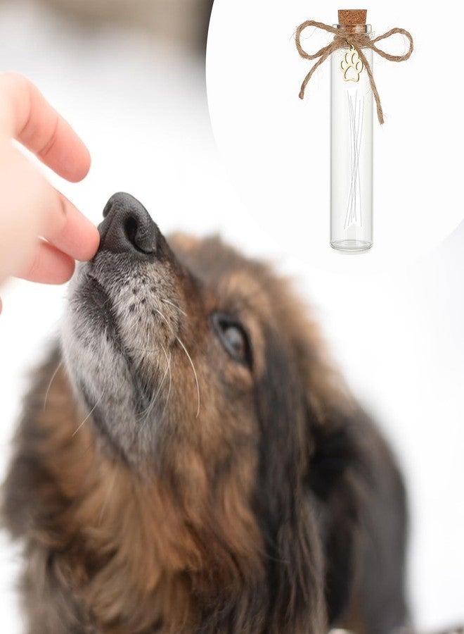 NICENEEDED 2 PCS Pet Hair Memorial Bottles with Pawprint Charm, Dog Cat Ashes Fur Hair Locket Keepsake Bottles, Small Glass Vial with Cork for Preserve Mammals Precious Memories - Image 3