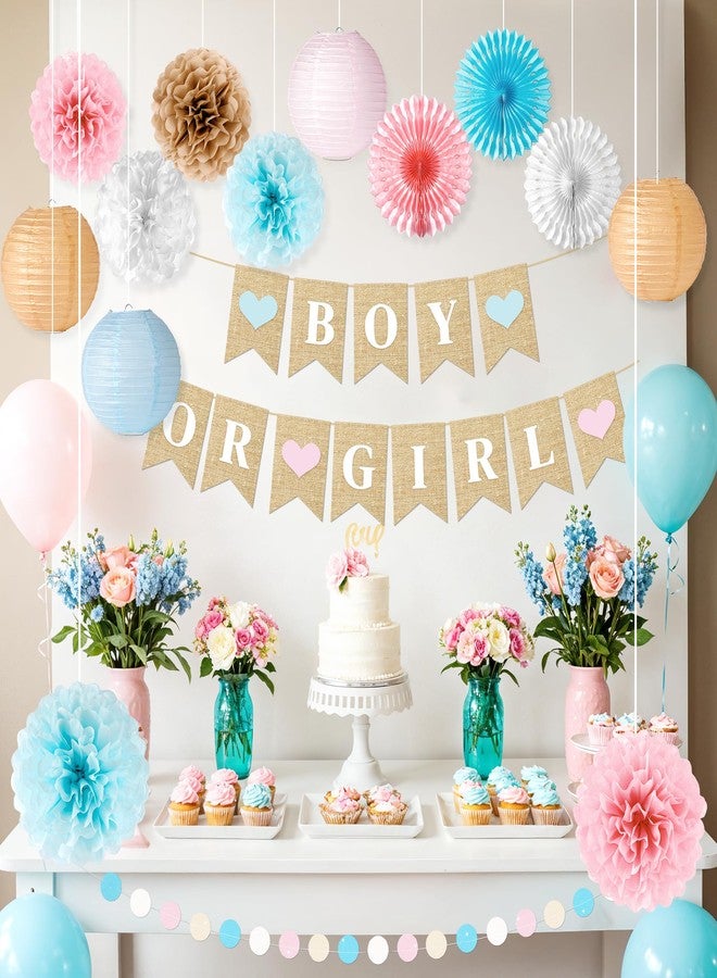 Kriyokiaa Gender Reveal Decorations 16 Pcs Blue Pink Baby Shower Decorations for Boy or Girl Reveal Party, Includes Lanterns, Pom Poms, and Baby Shower Banner Perfect for Indoor & Outdoor Celebrations - Image 3