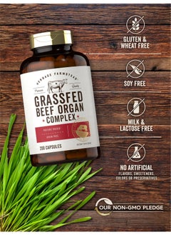 Grass Fed Beef Organ Complex 3250mg | 200 Capsules | Pasture Raised, Grain Free Supplement | with Desiccated Liver, Kidney, Pancreas, Heart, Spleen | Non-GMO, Gluten Free | by Herbage Farmstead - pzsku/Z8516204680E9A79A80FBZ/45/_/1730140868/1750e2ab-5c69-4a22-8761-e072dcac6702