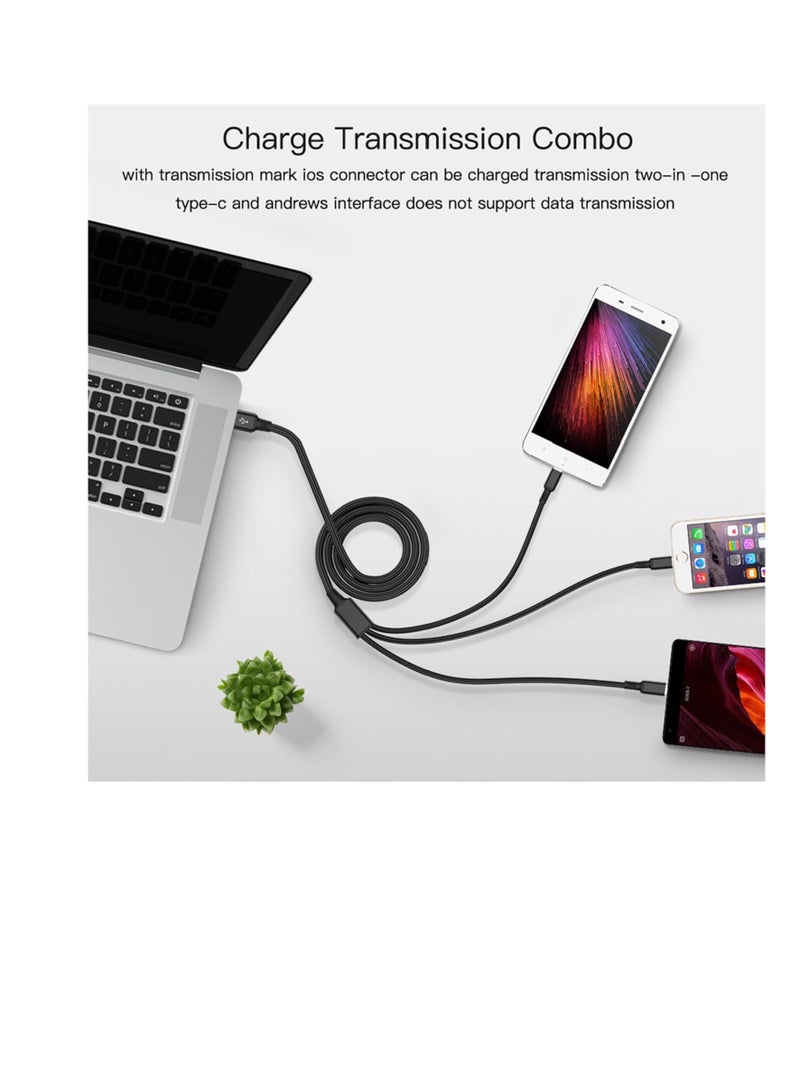 Terabyte 3-in-1 100W Fast Charging Cable Type-C, Lighting, Micro Charging & Data Transfer Cable with USB-C - Image 3