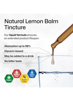 BIO KRAUTER BIO KRAUTER Lemon Balm Leaf Extract - Vegan Lemon Balm Drops - Melissa Lemon Balm Tincture for Calmness Support - Sugar & Alcohol-Free Lemon Balm Extract 4 Fl. Oz.  - Image 4