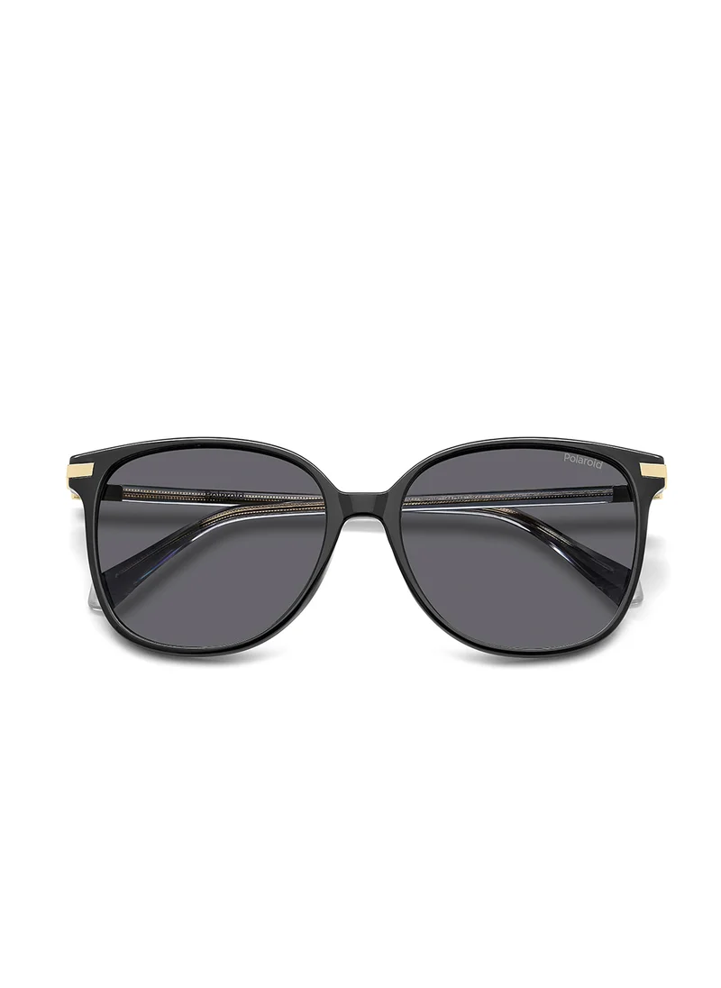 بولارويد Pld 4170/G/S/X Oversized Sunglasses
