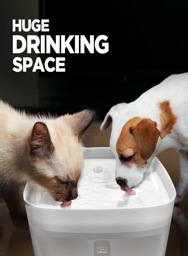 Ciays 106oz/3L Cat Water Fountain, Large Automatic Pet Fountain Dog Water Dispenser with Ultra Quiet Pump for Cats, Dogs, Multiple Pets, 3 Replacement Filters Included, White - Image 3