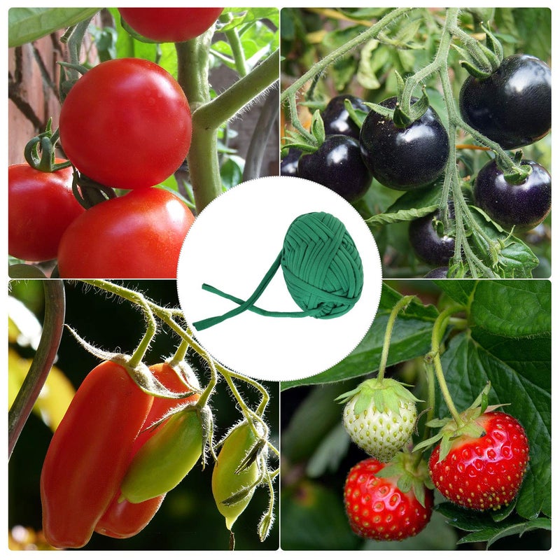 BBTO Green 30 Meter/ 98 Feet Garden Twine Soft Plant Tie Garden String Tree Tie Stretchy Gardening Tape Plant Support for Home Tying Climbing Plants Veggies Flower Supplies Craft(1 Roll) - Image 4