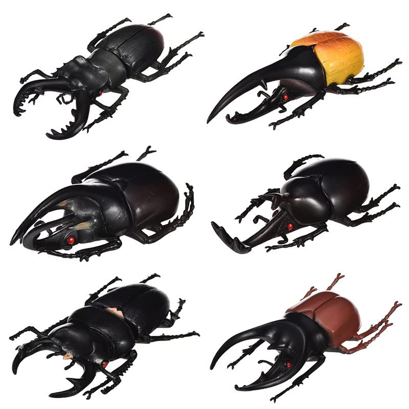 Hosfairy 6Pcs Fake Beetle Halloween Beetle Model Halloween Entomological Bugs Model for Halloween Christmas Birthday April Fools Day Party - Image 1