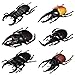 Hosfairy 6Pcs Fake Beetle Halloween Beetle Model Halloween Entomological Bugs Model for Halloween Christmas Birthday April Fools Day Party - Image 2
