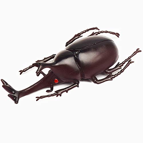Hosfairy 6Pcs Fake Beetle Halloween Beetle Model Halloween Entomological Bugs Model for Halloween Christmas Birthday April Fools Day Party - Image 3