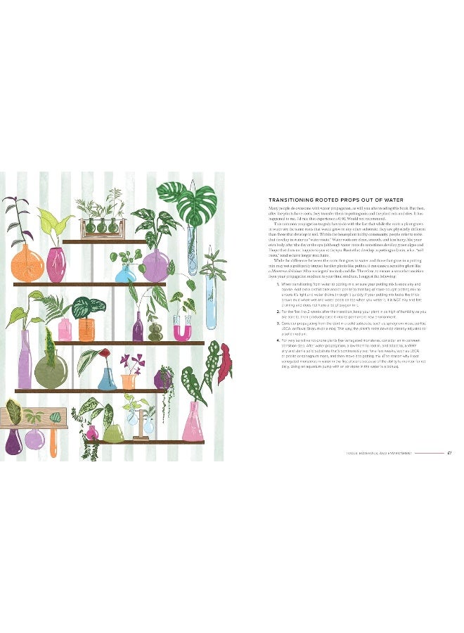 The Ultimate Guide to Houseplant Propagation : Step-by-Step Techniques for Making More Houseplants . . . for Free! - Image 5