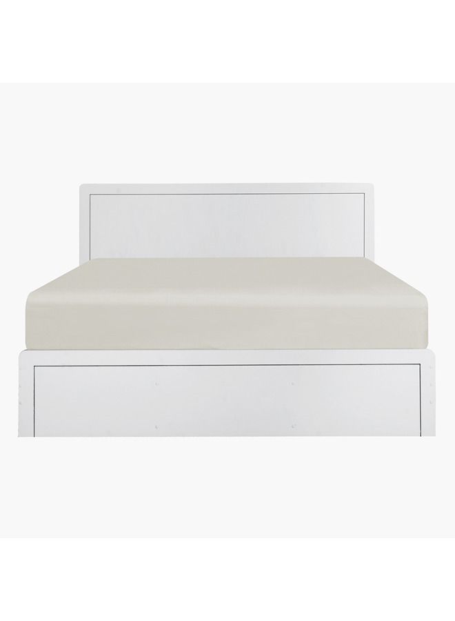 Home Box سرير الملك واحة 204x87.6x184.8 سم - Image 2