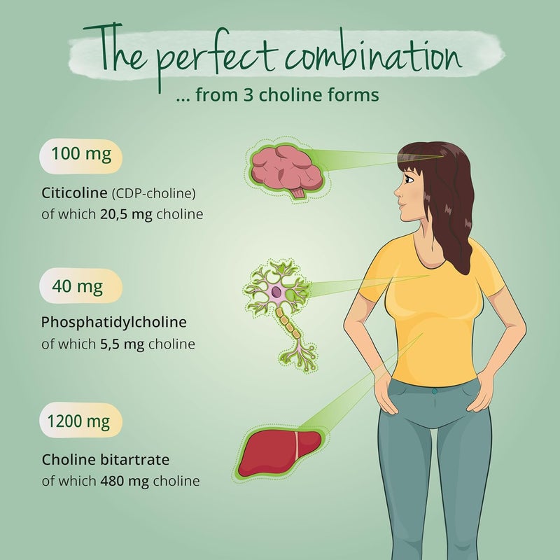 Vegavero مكمل كولين من فيغافيرو | مكملات الكبد* | كولين-بيترات، فوسفاتيديل كولين وسيتوكولين | 90 كبسولة | بدون إضافات، مختبر مختبر | نباتي - Image 3