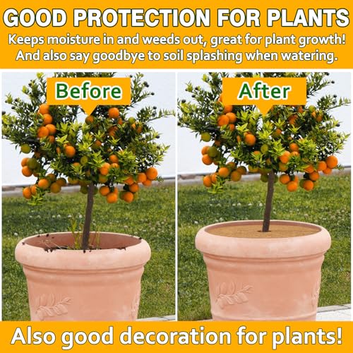 ZeeDix 3 Pack Coconut Fiber Mulch Ring, 24 Inch Coco Coir Tree Ring Mulch Mat, 100% Natural Tree Protector Mat Plant Cover Ring Coconut Coir Discs Tree Mats Mulch Rings for Indoor Outdoor Trees Plants - Image 5