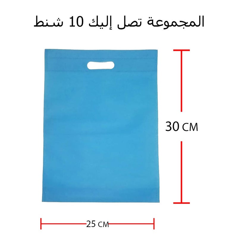 10 Piece Non Woven Polyester Fabric Gift Bags 30x25 cm (Blue) - Image 2