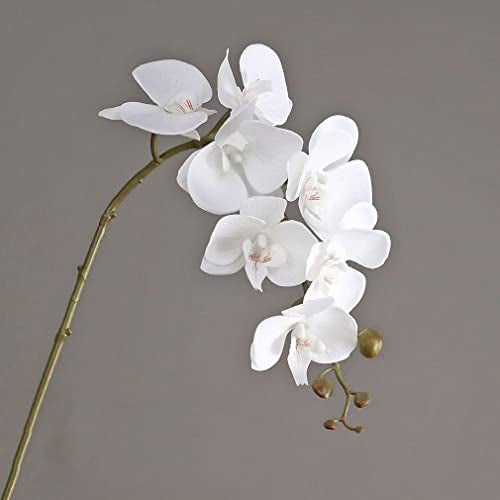 DUYONE Artificial Orchid Plant, 35 Inch 4 Pcs Phalaenopsis Flowers with Leaves, Real Touch Orchid Stems for Home Decoration - Image 3