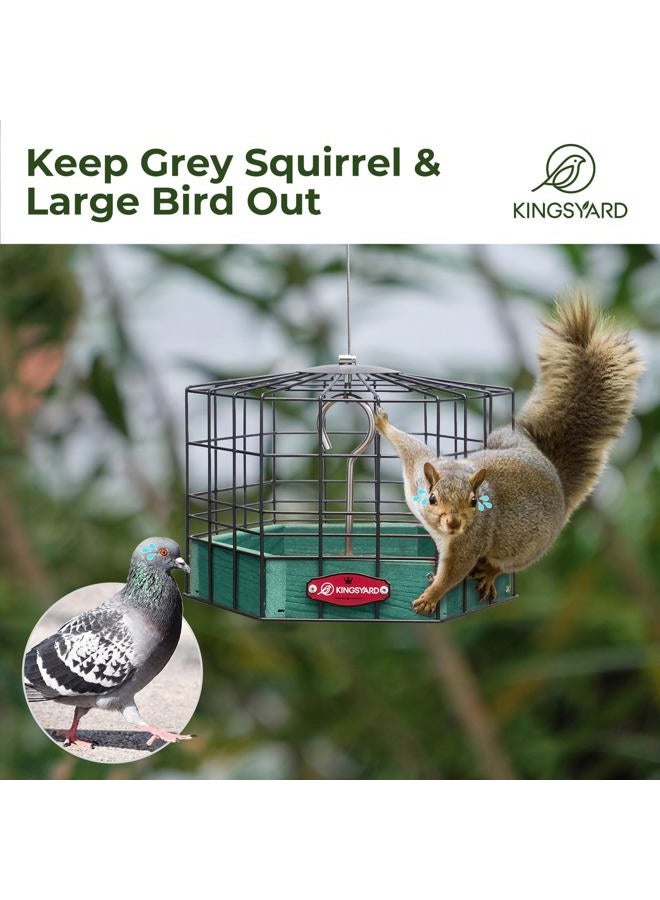 Kingsyard Squirrel-Proof Bird Feeder for Outdoor Hanging - Rugged Recycled Plastic Feeding Station with Metal Mesh Tray and Grackle-Proof Cage, Green - Image 4