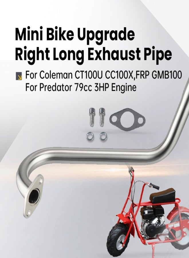 أنبوب عادم طويل أيمن مُحسّن من pinkhatcat لدراجات كولمان CT100U وCC100X سعة 98 سم مكعب، ودراجات GMB100 الصغيرة المصنوعة من الألياف الزجاجية، ودراجات بريداتور الصغيرة بمحرك 79 سم مكعب و3 أحصنة، باللون الفضي. - Image 2