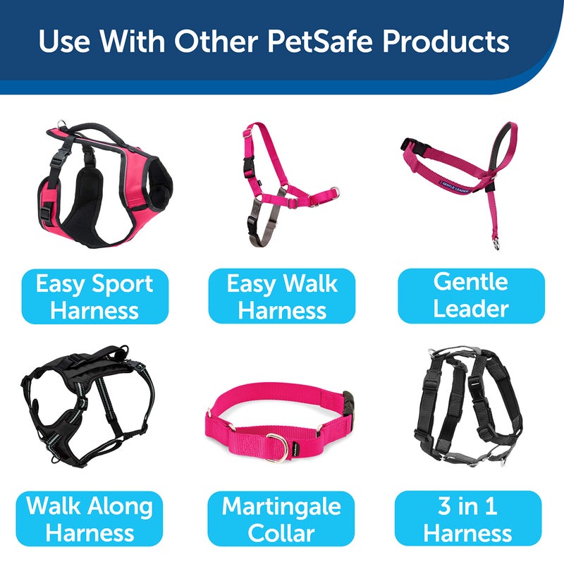 PetSafe Nylon Leash - Helps Maintain Secure Connection on Walks - Durable Pet Leash with Easy Clip - 3/4 in. x 6 ft. - Raspberry - Image 5