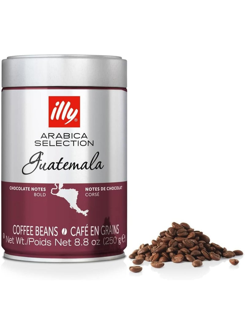 Illy Arabica Selection Guatemala Coffee Beans – Premium 100% Arabica, Rich and Balanced Flavor – 250g Pack - Image 1