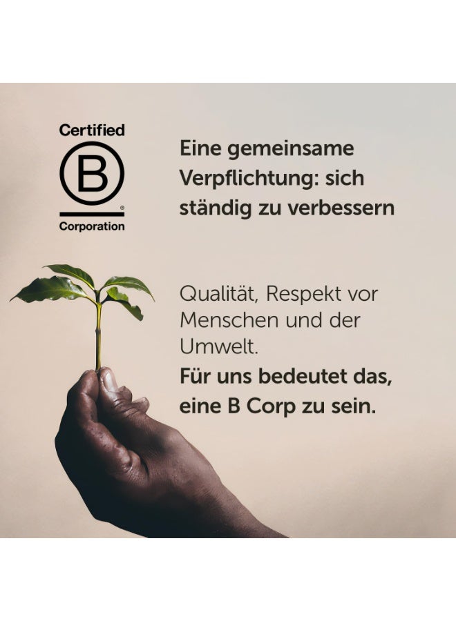 Illy Arabica Selection Guatemala Coffee Beans – Premium 100% Arabica, Rich and Balanced Flavor – 250g Pack - Image 2