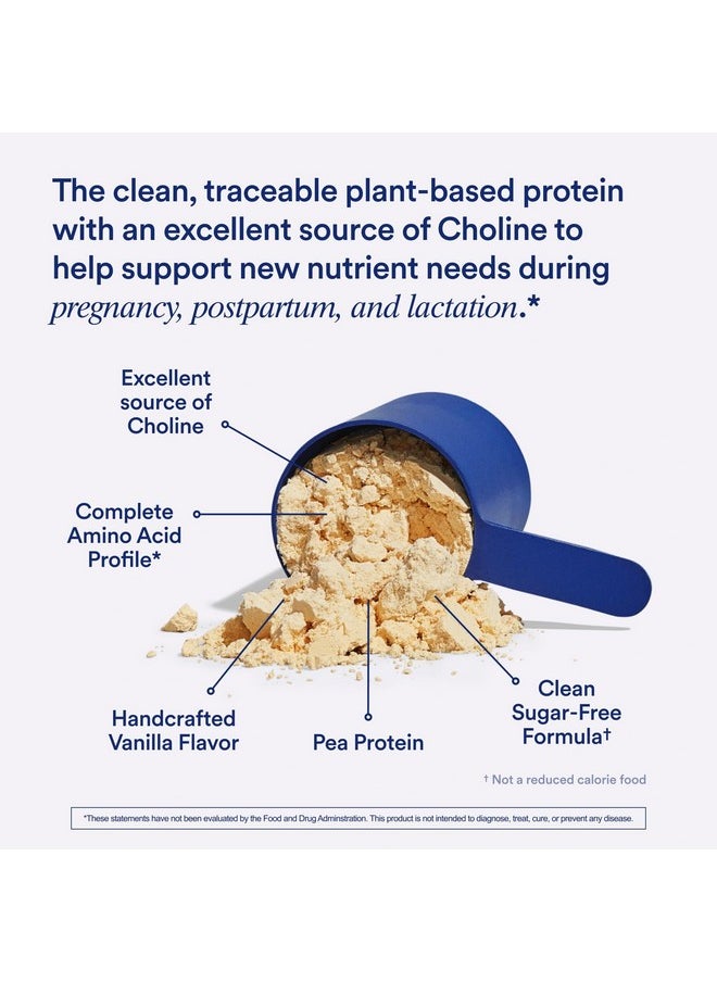 Prenatal Protein Powder: Choline To Support Prenatal Postpartum & Lactation 20G Organic Pea Protein From Regenerative Farms In Usa Gluten Free Plant Based Sugar Free† Vanilla 1 Pound - pzsku/Z85251B522D5A5C8FD995Z/45/_/1690364461/2eea202c-005c-4eda-933e-93884b09e3ec