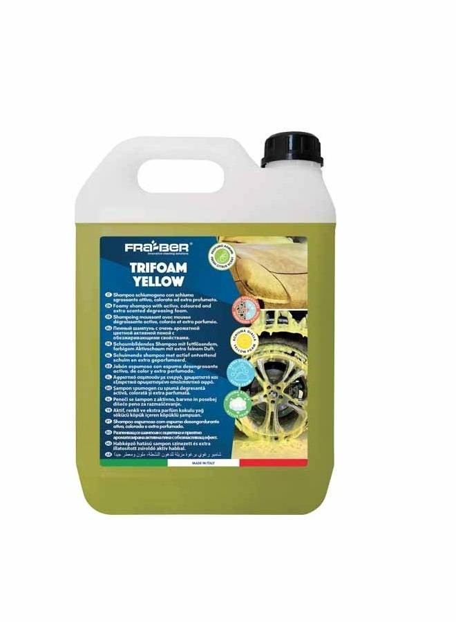 FRA-BER Colored Foam Shampoo for Cars with a special formula that makes your car look shiny - 4.5 Kg - Made in Italy 