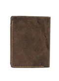TEAKWOOD brown