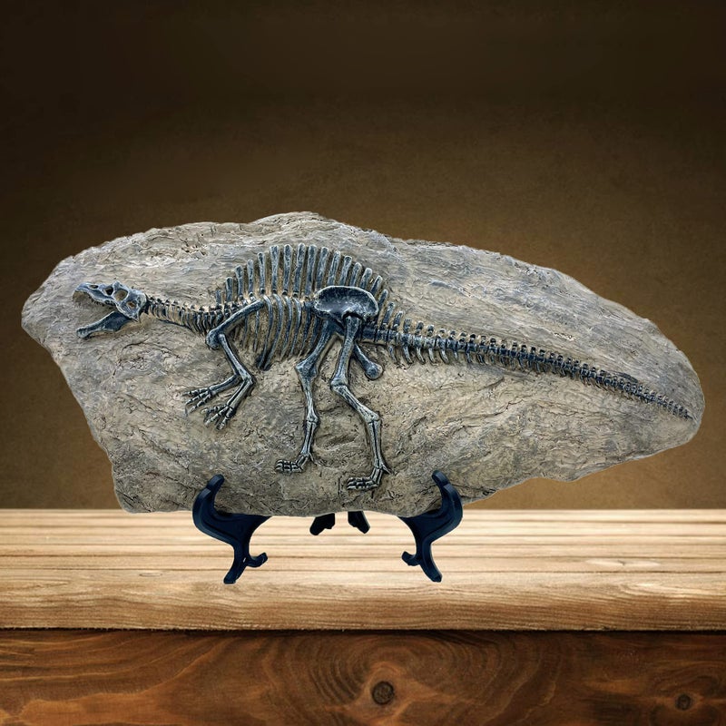 XINDAM Resin Spinosaurus Dinosaur Fossil Statue Model Simulated Skeleton Home Office Display Decorative Craft Box Decoration (Style 8) - Image 2