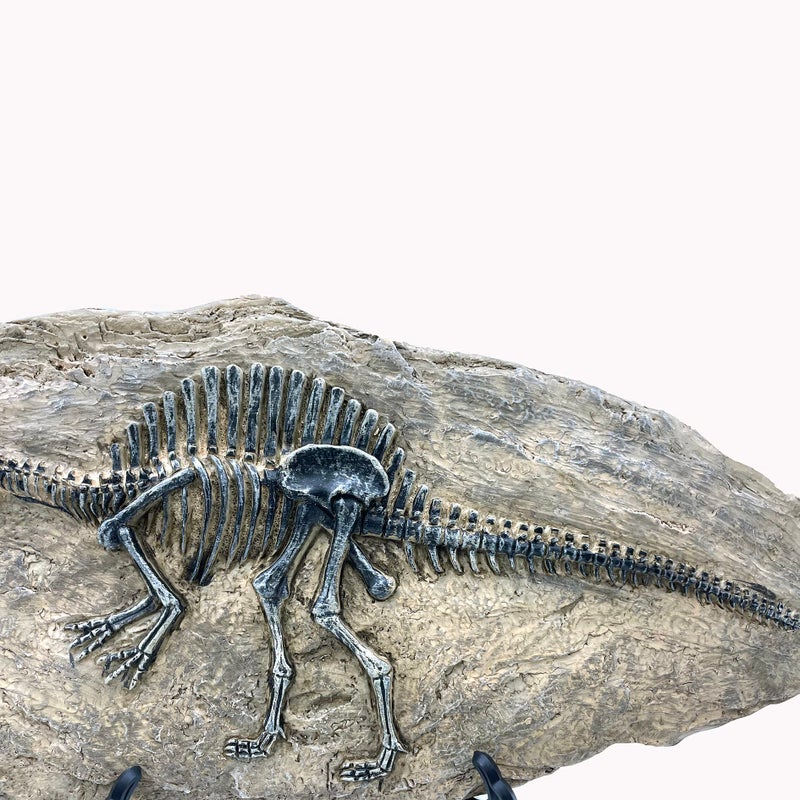 XINDAM Resin Spinosaurus Dinosaur Fossil Statue Model Simulated Skeleton Home Office Display Decorative Craft Box Decoration (Style 8) - Image 5