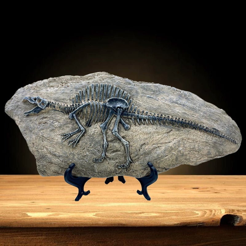 XINDAM Resin Spinosaurus Dinosaur Fossil Statue Model Simulated Skeleton Home Office Display Decorative Craft Box Decoration (Style 8) - Image 1
