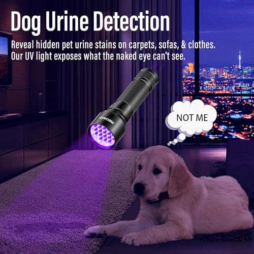 RECHOO UV Flashlight Black Light, 21 LED 395nm Ultraviolet Rechargeable Flashlights UV Light, Waterproof Portable BlackLight Flashlights for Pet Urine Detection, Dry Stains, Bed Bug, Fluorescent Agent - Image 3