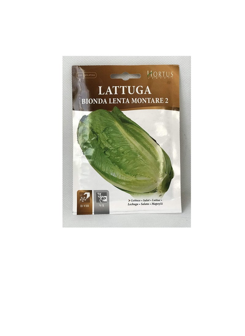 Generic Lettuce Seeds | Bionda Lenta Montare 2 Seeds | Made in Italy  - Image 1