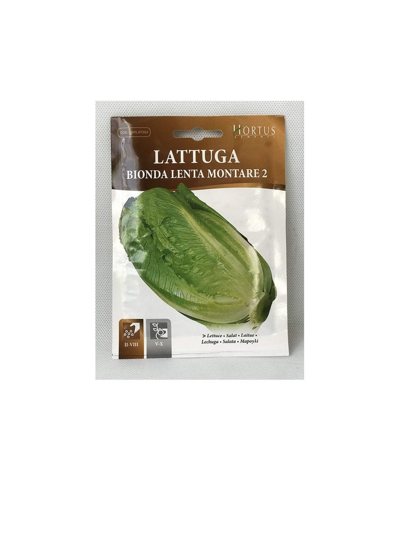 Generic Lettuce Seeds | Bionda Lenta Montare 2 Seeds | Made in Italy  - Image 3