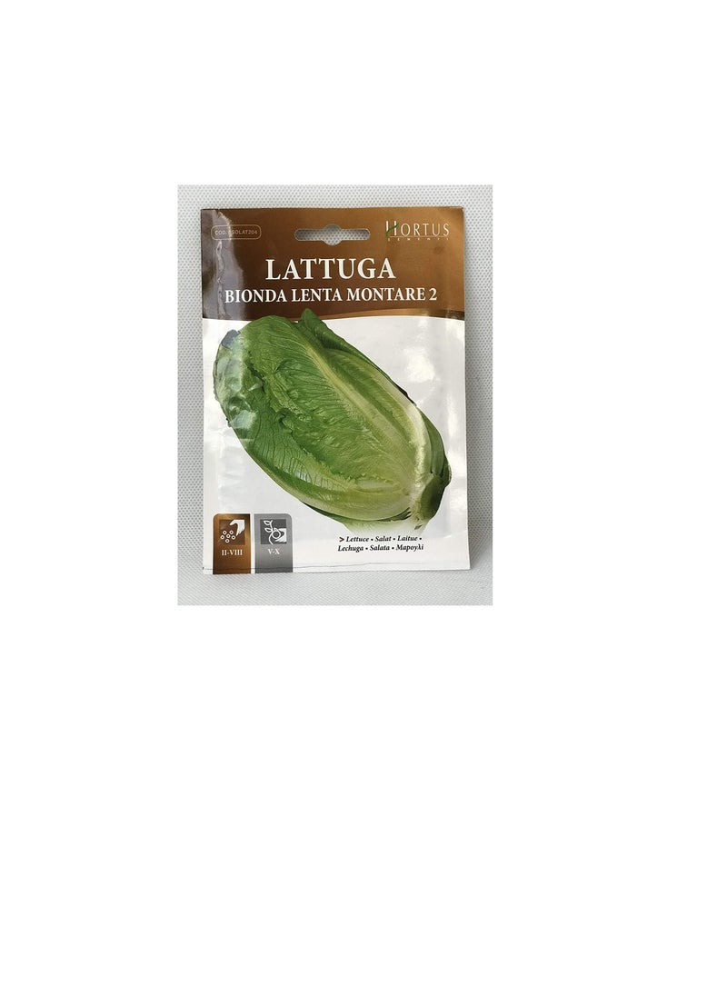Generic Lettuce Seeds | Bionda Lenta Montare 2 Seeds | Made in Italy  - Image 2