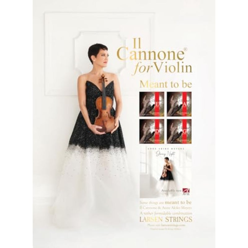 Violin Strings II Cannone - Image 5