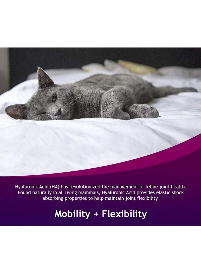 هالوجيك حمض الهيالورونيك هيالوجيك هيافليكس للقطط - منتجات قطط فاخرة للعناية بالمفاصل والبشرة والعين والفراء - مكمل طبيعي لمفاصل القطط (30 مل) - Image 5