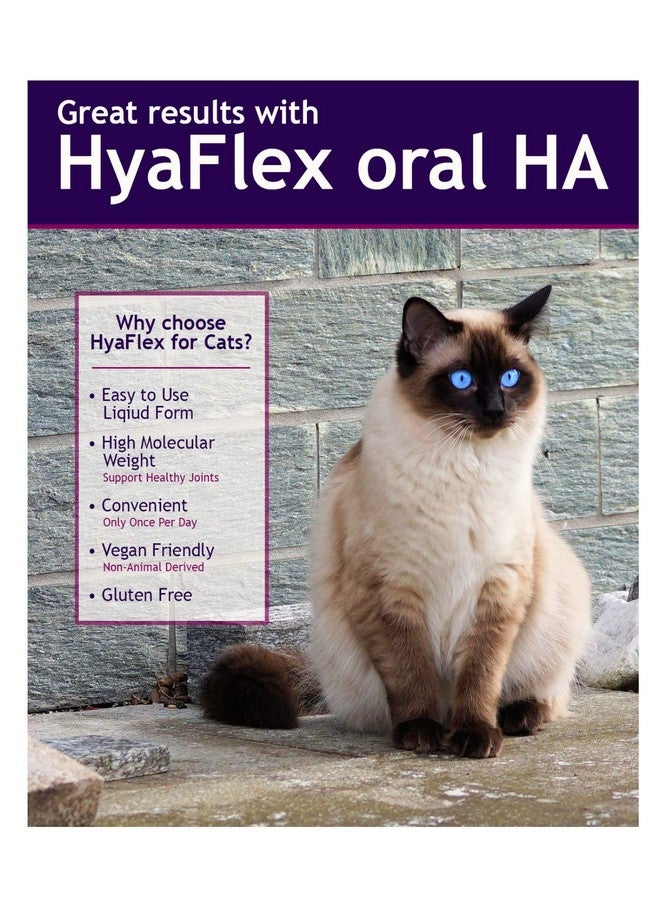 هالوجيك حمض الهيالورونيك هيالوجيك هيافليكس للقطط - منتجات قطط فاخرة للعناية بالمفاصل والبشرة والعين والفراء - مكمل طبيعي لمفاصل القطط (30 مل) - Image 4