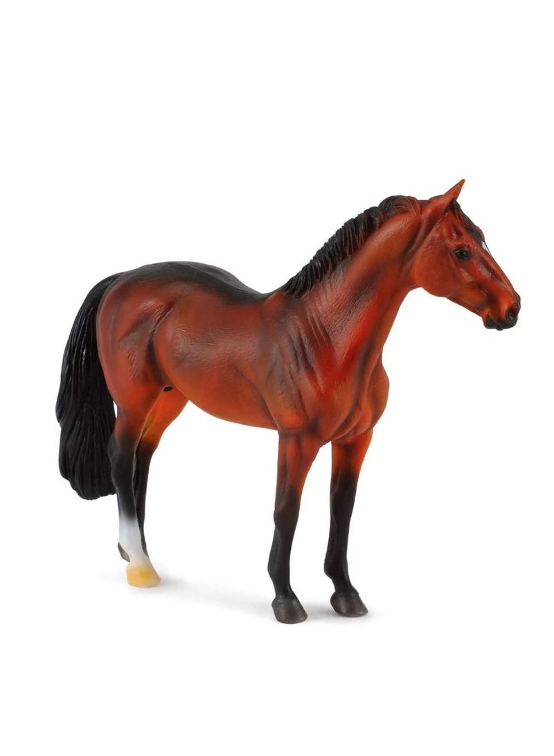 Collecta - Hanoverian Stallion Bay - 88431