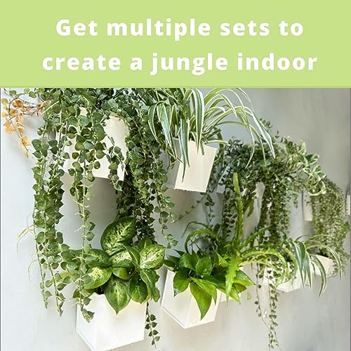 Lavish Craft Wall Planter 6-Pack 4 Inch Square Metal Wall Planters for Indoor and Outdoor Plants, Small White Hanging Flower Pots for Balcony, Herb Garden Decor, Patio, and Porch Railings (White) - Image 3