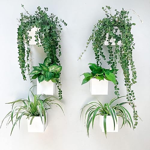 Lavish Craft Wall Planter 6-Pack 4 Inch Square Metal Wall Planters for Indoor and Outdoor Plants, Small White Hanging Flower Pots for Balcony, Herb Garden Decor, Patio, and Porch Railings (White) - Image 5