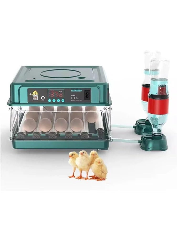 نيو كلاسيك حاضنة بيض دجاج 15 بيضة، تحويل البيض تلقائيًا، حاضنة مع وظيفة تزويد المياه للرطوبة والتحكم في درجة الحرارة وفحص البيض - R15 - Image 1