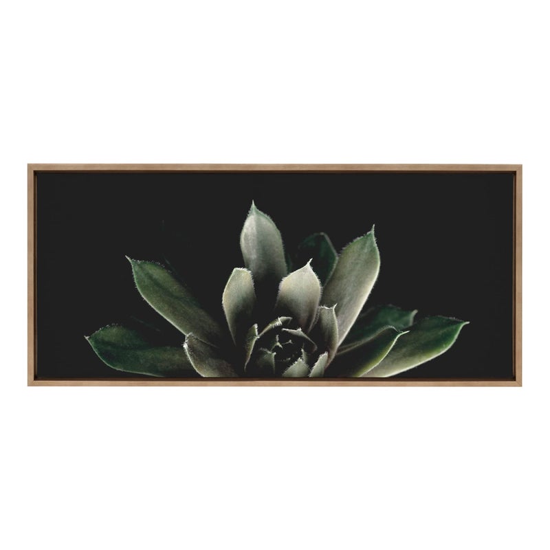 Kate and Laurel Kate and Laurel Sylvie Succulent 8 Framed Canvas Wall Art by Emiko and Mark Franzen of F2Images 18x40 Gold Decorative Botanical Art for Wall 