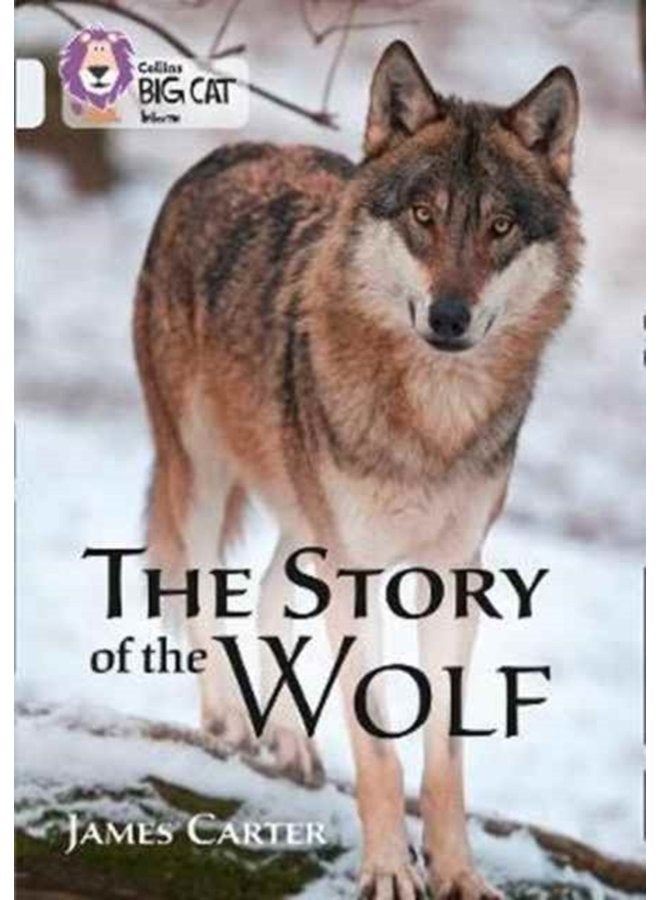 The Story of the Wolf Band 17 Diamond - Paperback