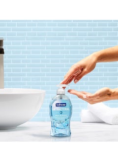 Softsoap Clean & Protect Antibacterial Liquid Hand Soap, Cool Splash Hand Soap, 11.25 Ounce, 6 Pack - pzsku/Z8533A3BD25BDEEB1A11CZ/45/_/1740599377/051ce2a3-27d8-43c8-868a-0f07a01a89cb