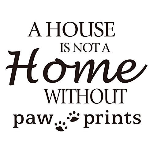 MOVANKRO A House is NOT A Home Without paw Prints - Carved Black Vinyl Quote Letters Wall Decal Pets Dog Cat House Kennel Cattery Art Lettering Sticker Home Décor - Image 1